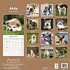 Akita Dog Breed Calendar
